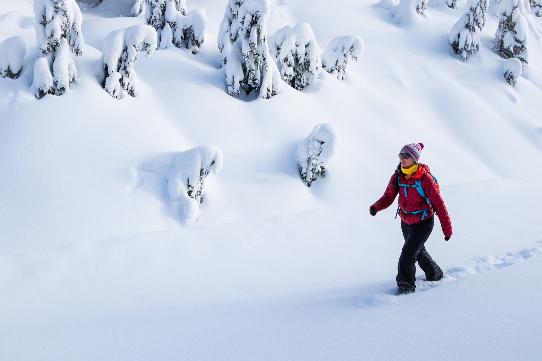 Snow Walker